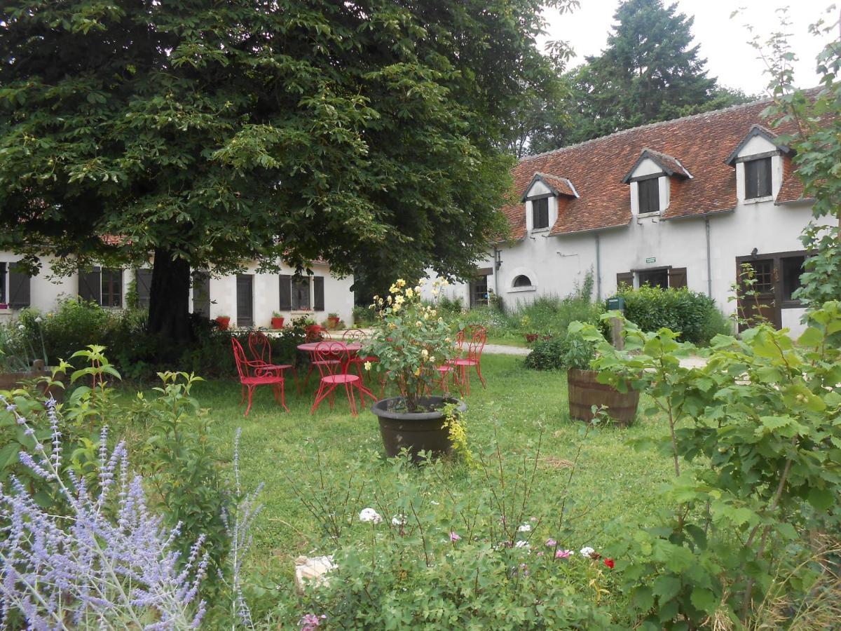 B&B La Ferme Des Bordes Pontlevoy Kültér fotó
