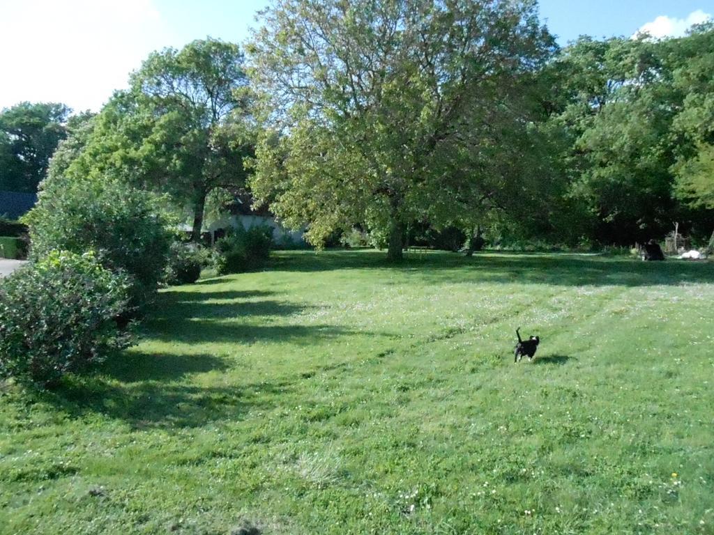 B&B La Ferme Des Bordes Pontlevoy Kültér fotó