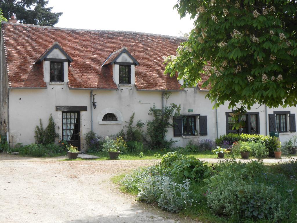B&B La Ferme Des Bordes Pontlevoy Kültér fotó